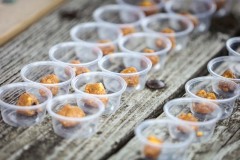 ELITE2021_MAR_d3_s-134