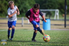 TripleSweepSC22-sm-28