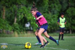 TripleSweepSC22-sm-32